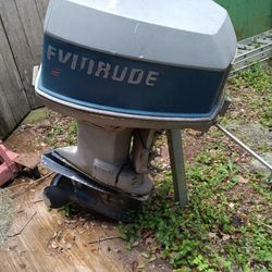 Evinrude 3 Motor