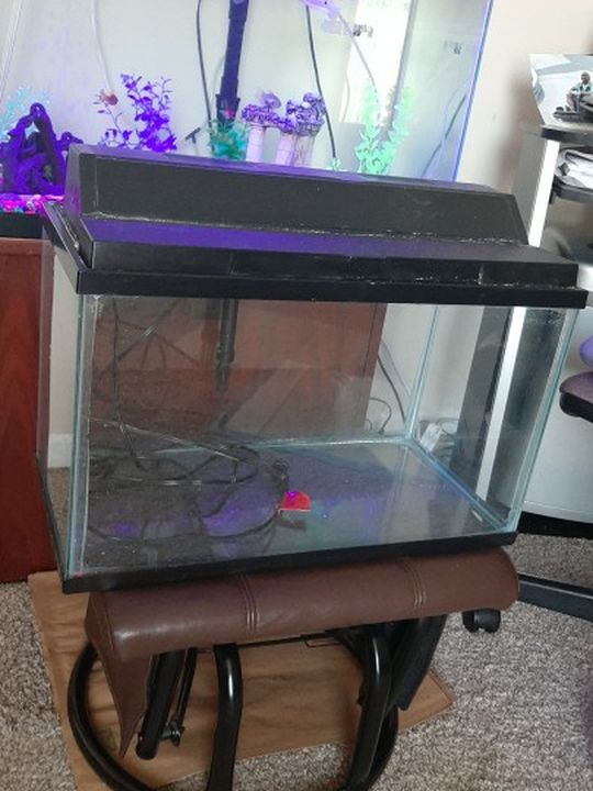 10 gallon aquarium with filter and lid and Light