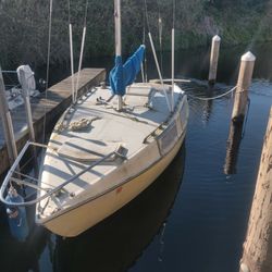 Project sailboats 2024 for sale