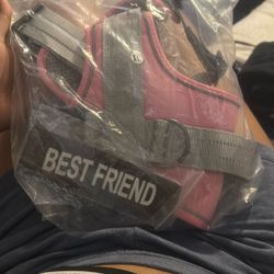 Dog Harness XL 