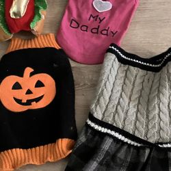 Dog Clothing Lot