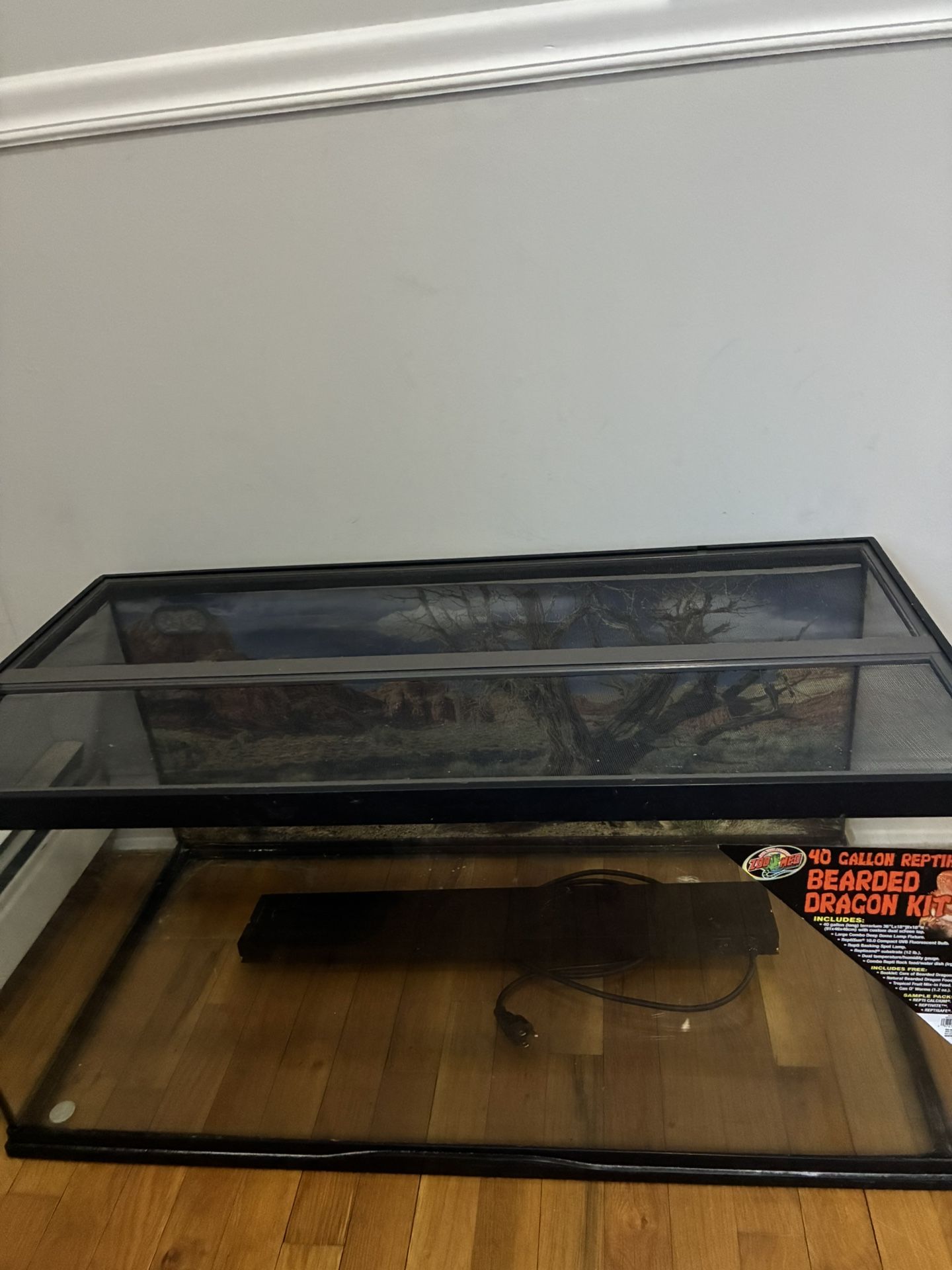 This Is a Lizard Tank