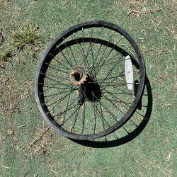 bmx bike wheel with coastal brake