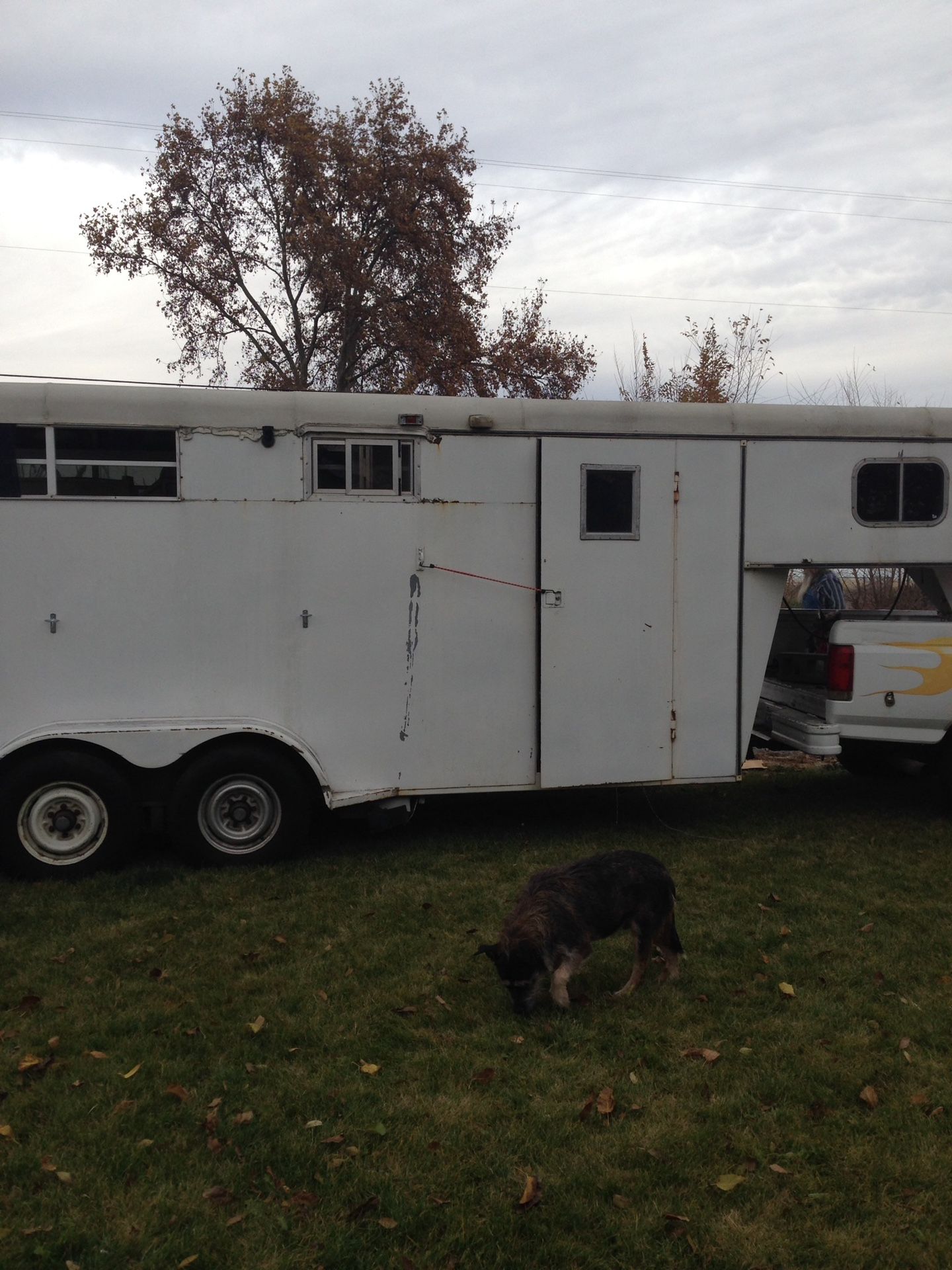 Weekender Horse Trailer