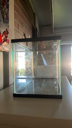 5 Gallon Fish tank