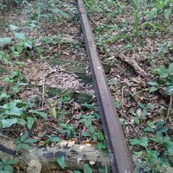 Railroad Track (9' Feet Long)