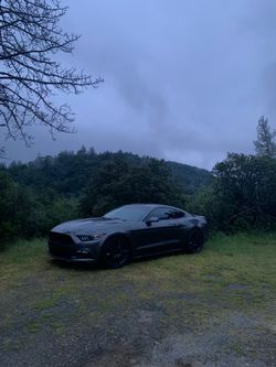 2015 gt mustang