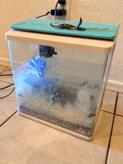 Small Fish Starter Aquarium 3.5 Gallon with Lid and Pump (LxWxH: 7” x 10.5” x 11”)