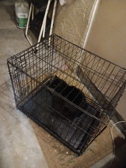 Cage For Free