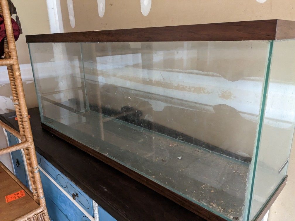 Big Aquarium