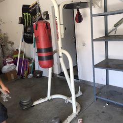 Punching Bag Speed Bag