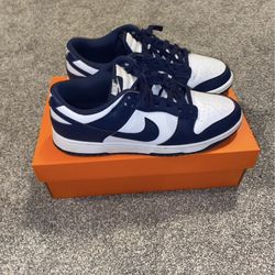 Men’s Nike dunks size 9