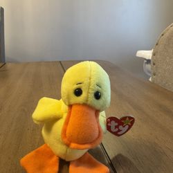 Ty Beanie Baby named Quackers the Duck. 