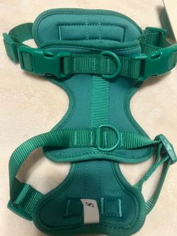 New dog collar and leash