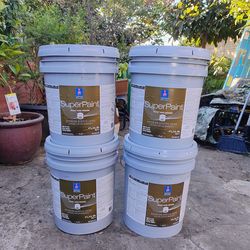 Backdrop ( Sherwin Williams Paint )