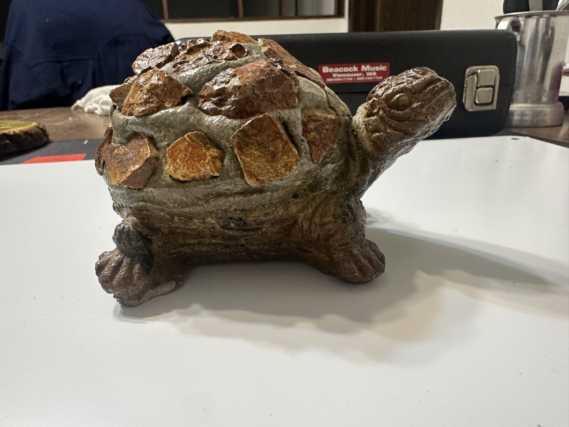 Healing Tortoise