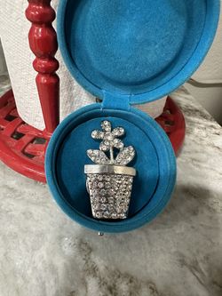 Magnet Brooch