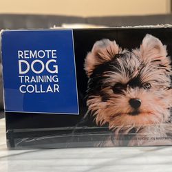 Extra small best sale dog training collar