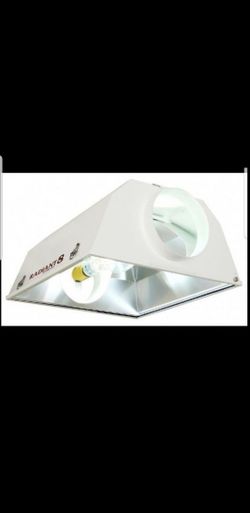 Radiant 8 grow lamps