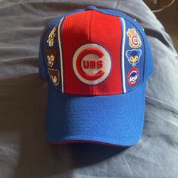 Cubs Hat