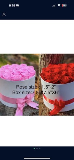 Preserved Real Rose For Mothers Day / Will Not Wither Fresh Forever 