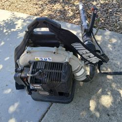 Echo Blower