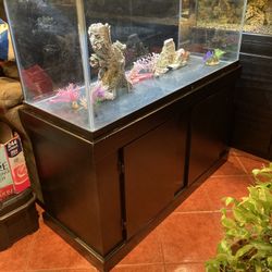 75 Gal Fish Tank