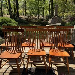 Set of 7 maple chairs