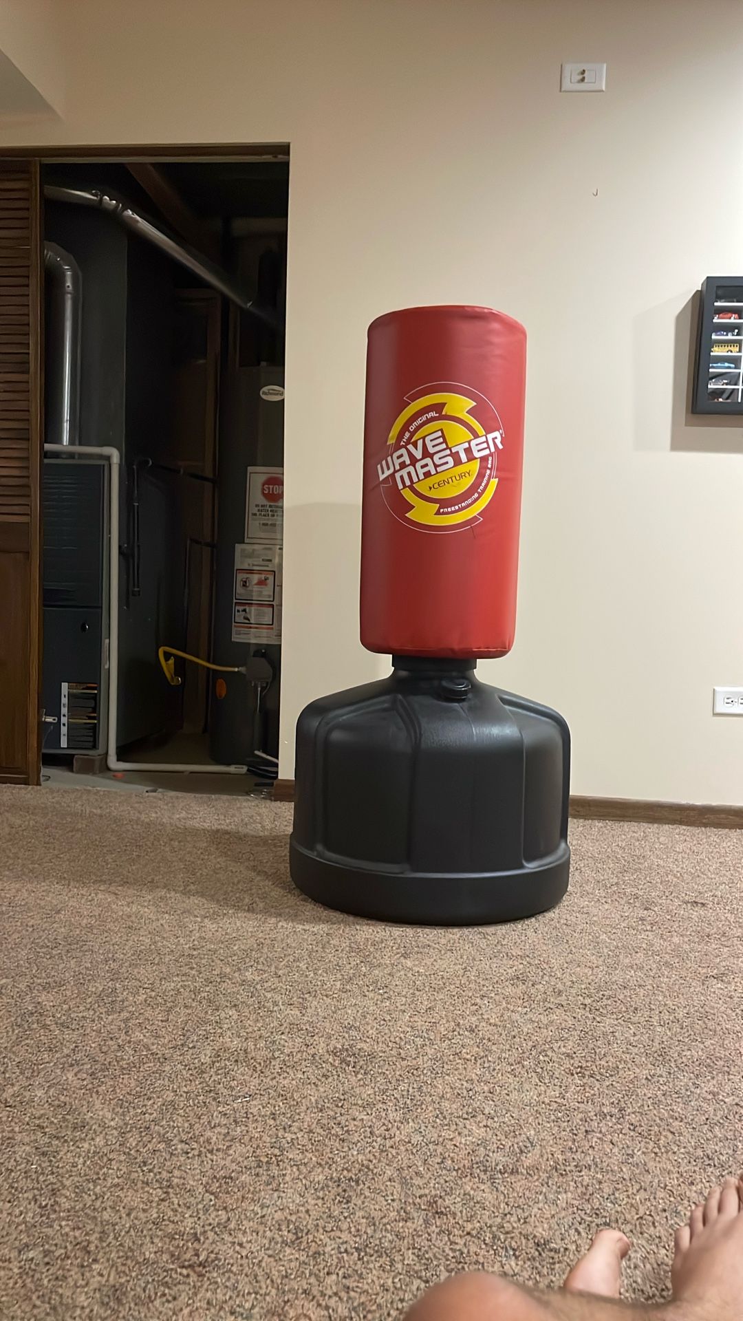 Wave Master Punching Bag