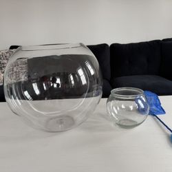 Fish Bowls - $30