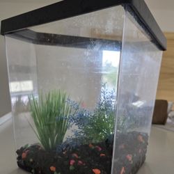 1 Gallon Fish Tank Everything Included