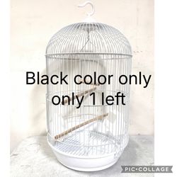 Black bird cage