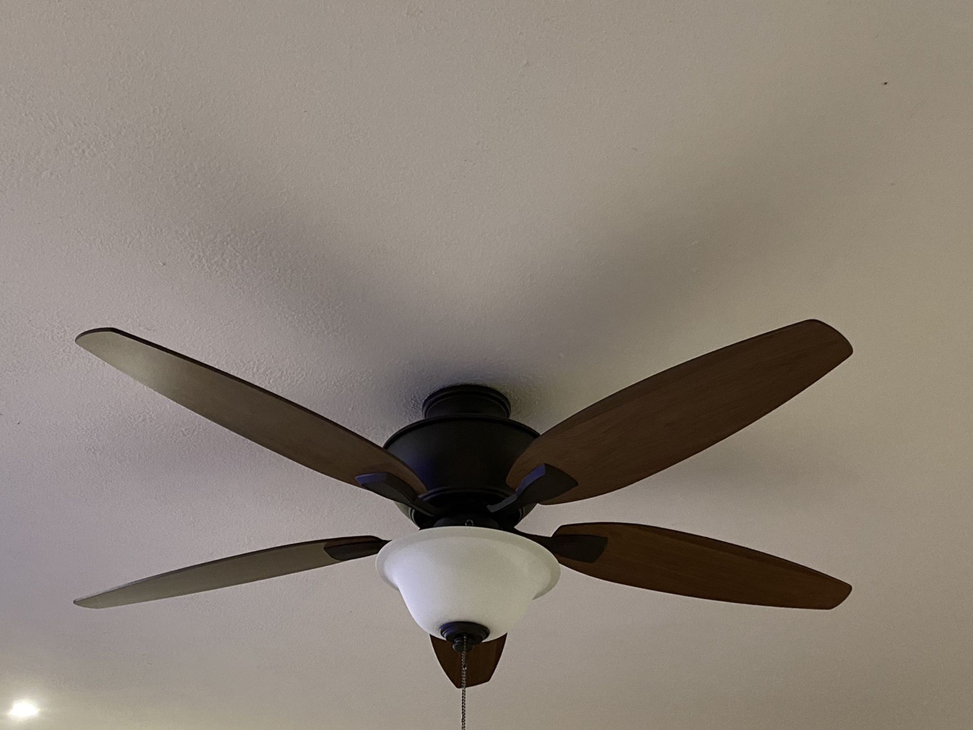 Hampton bay Ceiling Fan For Sale