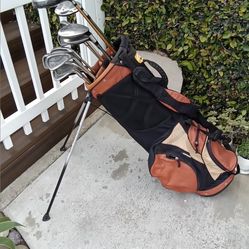 Set Of Mens King  Snake R/H Golf Clubs