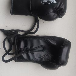 Boxing Gloves