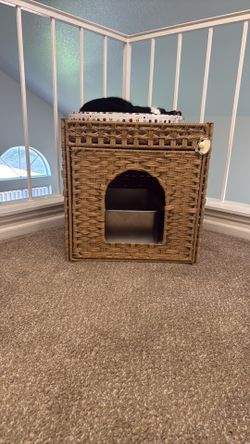 Hidden Litter Box