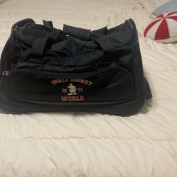 Vintage Disney Carryon luggage 