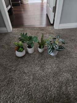 4 Fake Plants