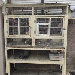 Large Breeding Cage