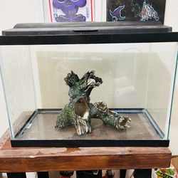 20 Gallon Tank