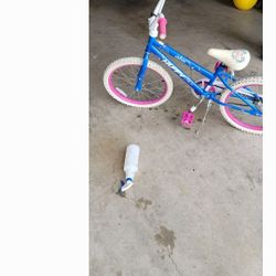 Girls New 20" Bike 
