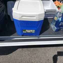 Igloo 12qt Cooler