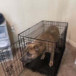 Double Door Dog Crate 