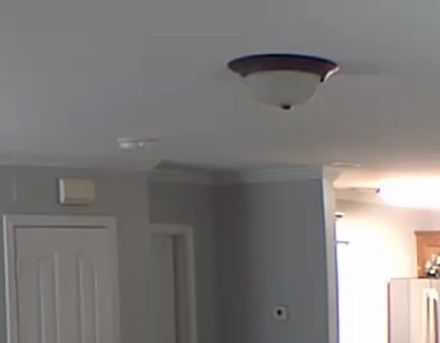 Incandescent Luminaire Celling Light