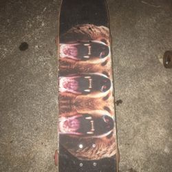 Random Skate Board Built 