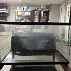 Aquarium/Tank + Accessories 