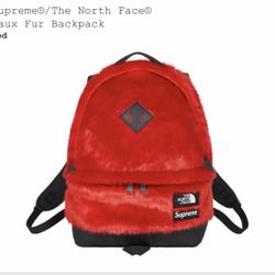 Supreme/The North Face Faux Fur Backpack