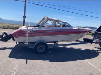 19 ft Larson Boat
