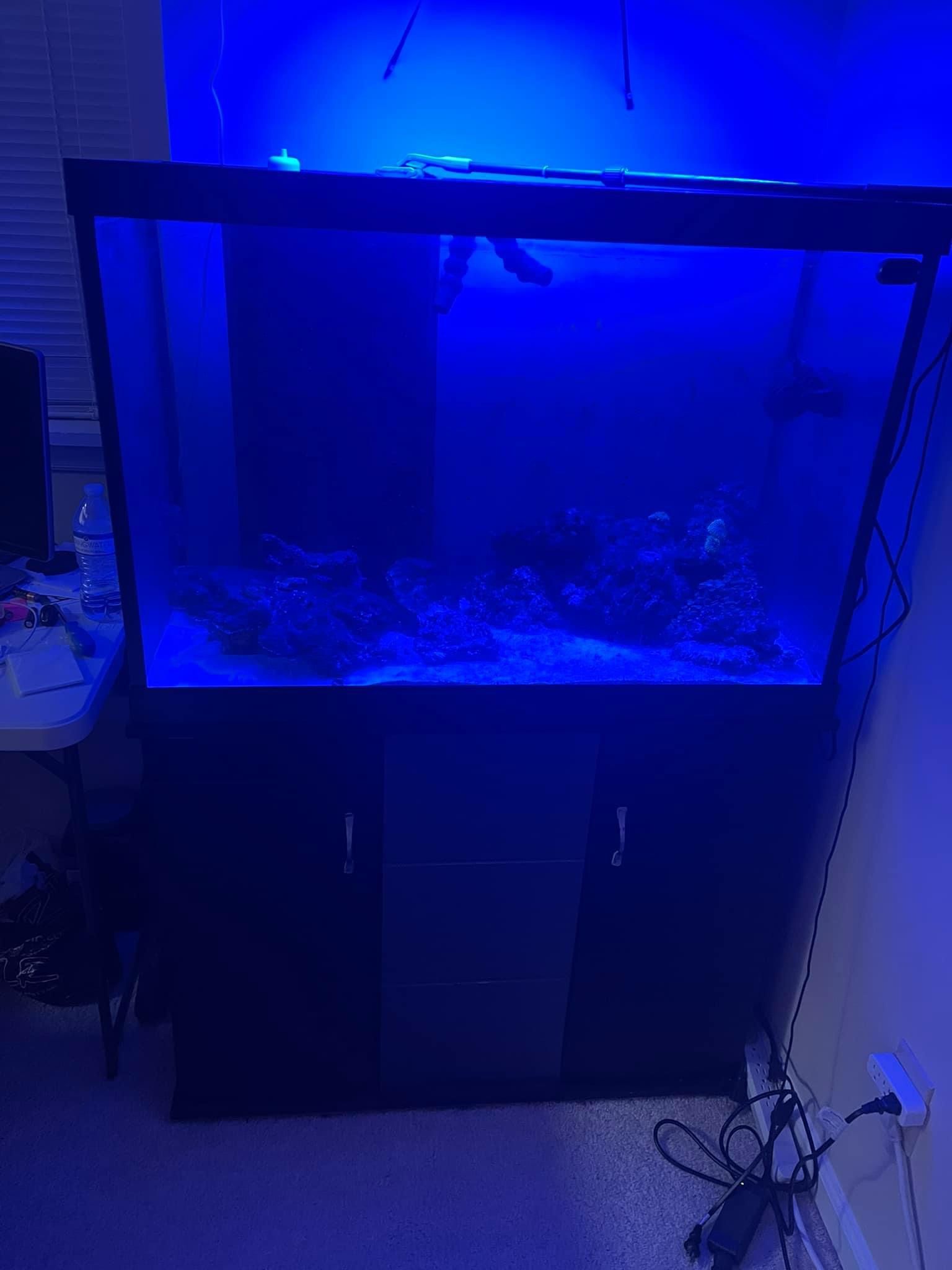 Aquarium