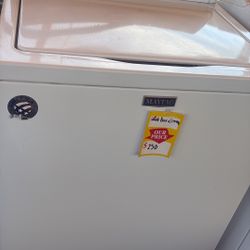 Bonita Labadora Tina Grande Con Garantía 